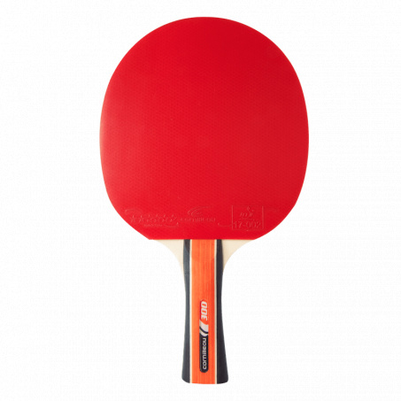 Рендер-0 для Cornilleau Sport 300