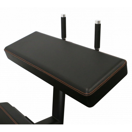 Рендер-2 для Bronze Gym PL-1718 Т-образная тяга
