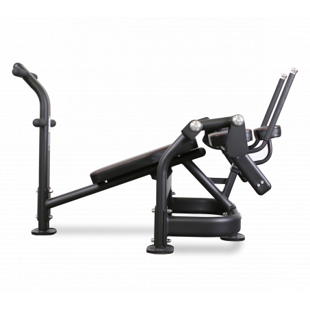 Рендер-13 для Bronze Gym PL-1720 Пресс-скамья