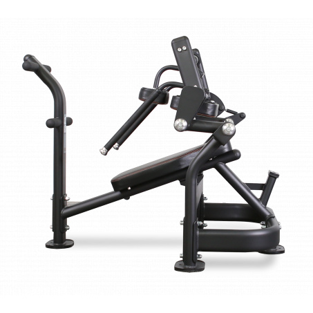 Рендер-1 для Bronze Gym PL-1720 Пресс-скамья