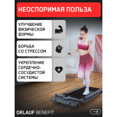 13 слайд галлереи