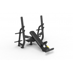 Spirit SP-4210 с отрицательным наклоном из каталога скамей со стойкой в Симферополе по цене 221600 ₽
