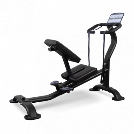 Рендер-0 для Bronze Gym BR-1006