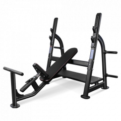 Bronze Gym BR-1014 наклонная из каталога скамей со стойкой в Симферополе по цене 120990 ₽