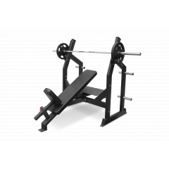 Bronze Gym AL-305 наклонная из каталога скамей со стойкой в Симферополе по цене 84690 ₽