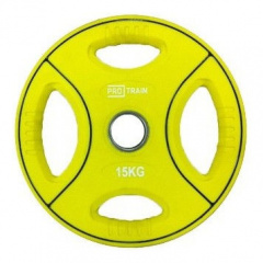 Protrain DB6092-15 (д=50 мм) из каталога дисков для штанги с посадочным диаметром 50 мм. в Симферополе по цене 6800 ₽