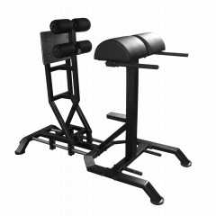 Bronze Gym GHD AL-921 из каталога тренажеров для спины  в Симферополе по цене 126990 ₽