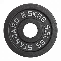 VictoryFit 2,5 кг чугунный окрашенный VF-SC510250 из каталога дисков для штанги с посадочным диаметром 50 мм. в Симферополе по цене 680 ₽