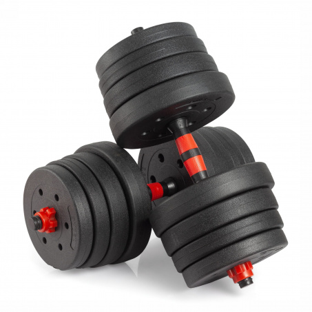 Рендер-0 для VictoryFit 30 кг. (2х15 кг.) VF-DC300