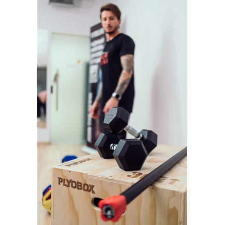 Рендер-9 для Original FitTools 22,5 кг гексагональная FT-HEX-22,5