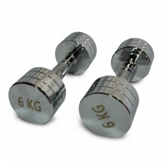 UnixFit PRO круглая 6 кг DBRND6PCE из каталога хромированных гантелей в Симферополе по цене 3290 ₽