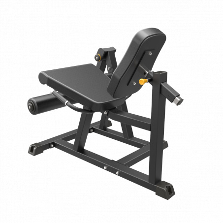 Рендер-1 для AeroFit IFP1605 разгибание ног сидя