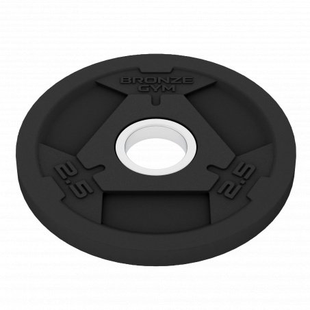 Рендер-1 для Bronze Gym 2,5 кг BGPLR025
