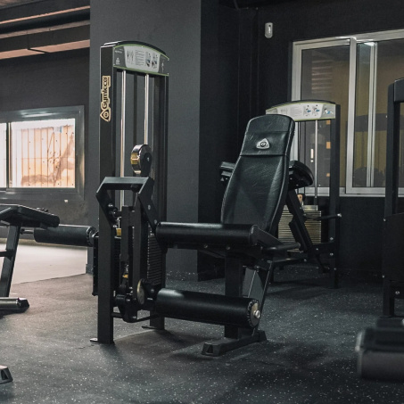 Рендер-2 для Gymleco 340 Разгибание ног