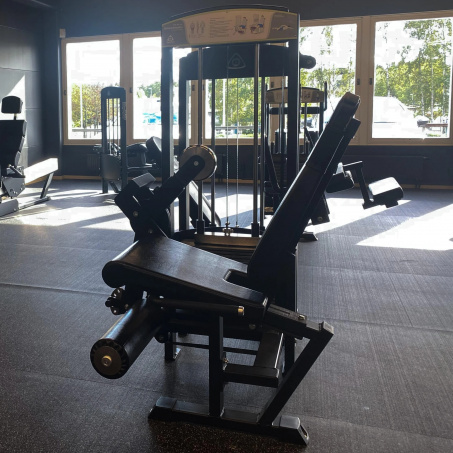 Рендер-1 для Gymleco 340 Разгибание ног