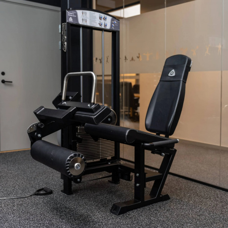 Рендер-2 для Gymleco 349 Сгибание/разгибание ног
