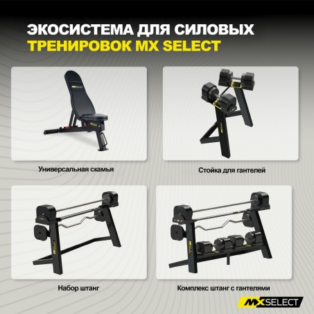 Рендер-1 для MX Select 0.57 кг, 4 шт с держателем (дополнительные веса)