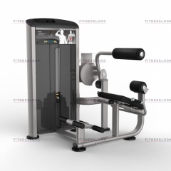AeroFit Impulse Elite IE9532 - разгибание спины из каталога грузоблочных тренажеров в Симферополе по цене 187340 ₽