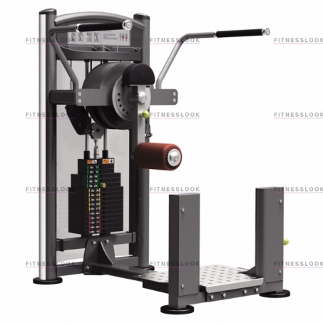 Рендер-0 для AeroFit IT9309 - для бедер и ягодичных