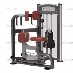 AeroFit IT9318 - вращение торса из каталога грузоблочных тренажеров в Симферополе по цене 194990 ₽
