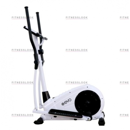 Рендер-4 для Evo Fitness Shark