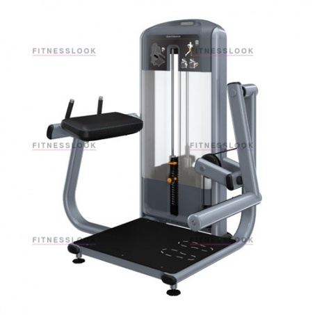 Рендер-0 для Precor DSL618 - ягодичные мышцы стоя