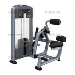 Precor DSL313 - разгибание спины из каталога грузоблочных тренажеров в Симферополе по цене 444810 ₽