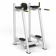 Protrain 61A45 из каталога стоек турник брусья-пресс в Симферополе по цене 66220 ₽