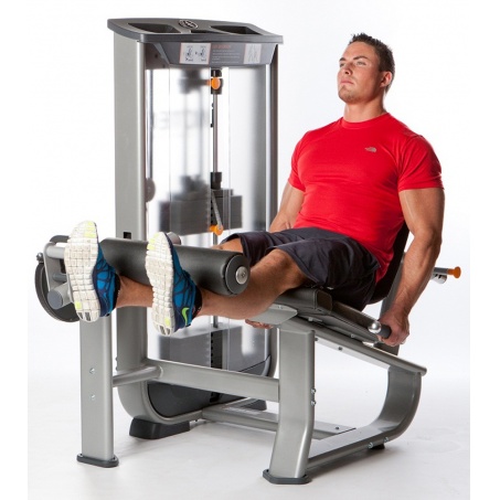 Рендер-4 для AeroFit Inotec NL5 Разгибание ног