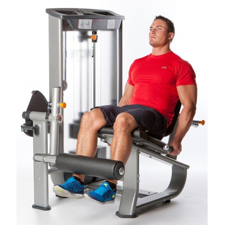 Рендер-3 для AeroFit Inotec NL5 Разгибание ног