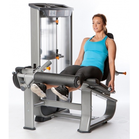 Рендер-2 для AeroFit Inotec NL5 Разгибание ног