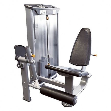 Рендер-0 для AeroFit Inotec NL5 Разгибание ног