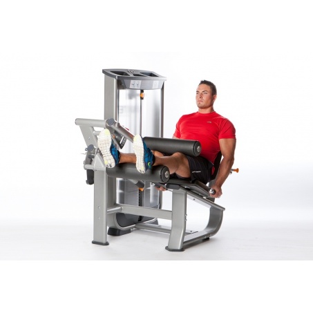 Рендер-4 для AeroFit Inotec NL6 Сгибание ног сидя