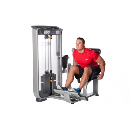 Рендер-1 для AeroFit Inotec NL8 Разгибание спины