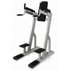 Protrain V8-301 из каталога стоек турник брусья-пресс в Симферополе по цене 119700 ₽